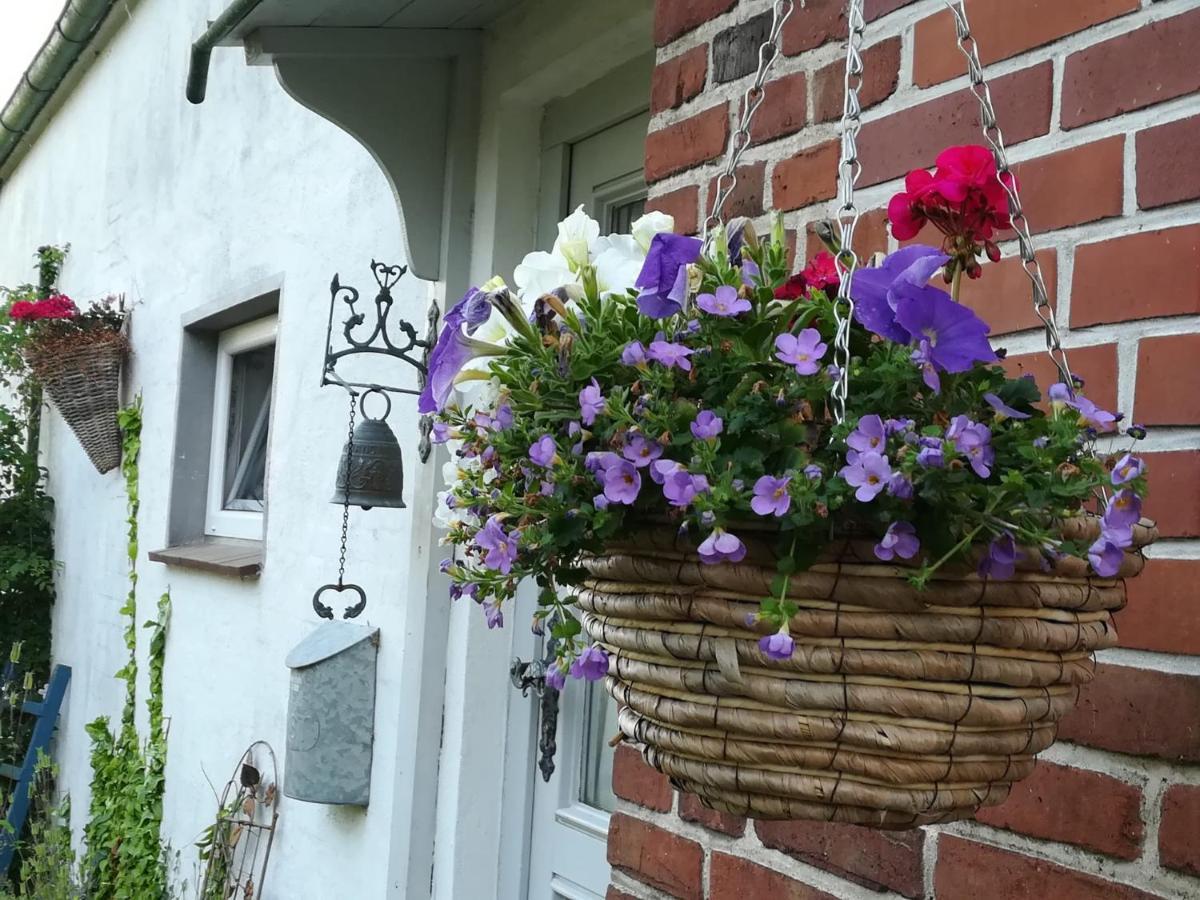 Ferienwohnung Brodersen Boren Exterior foto