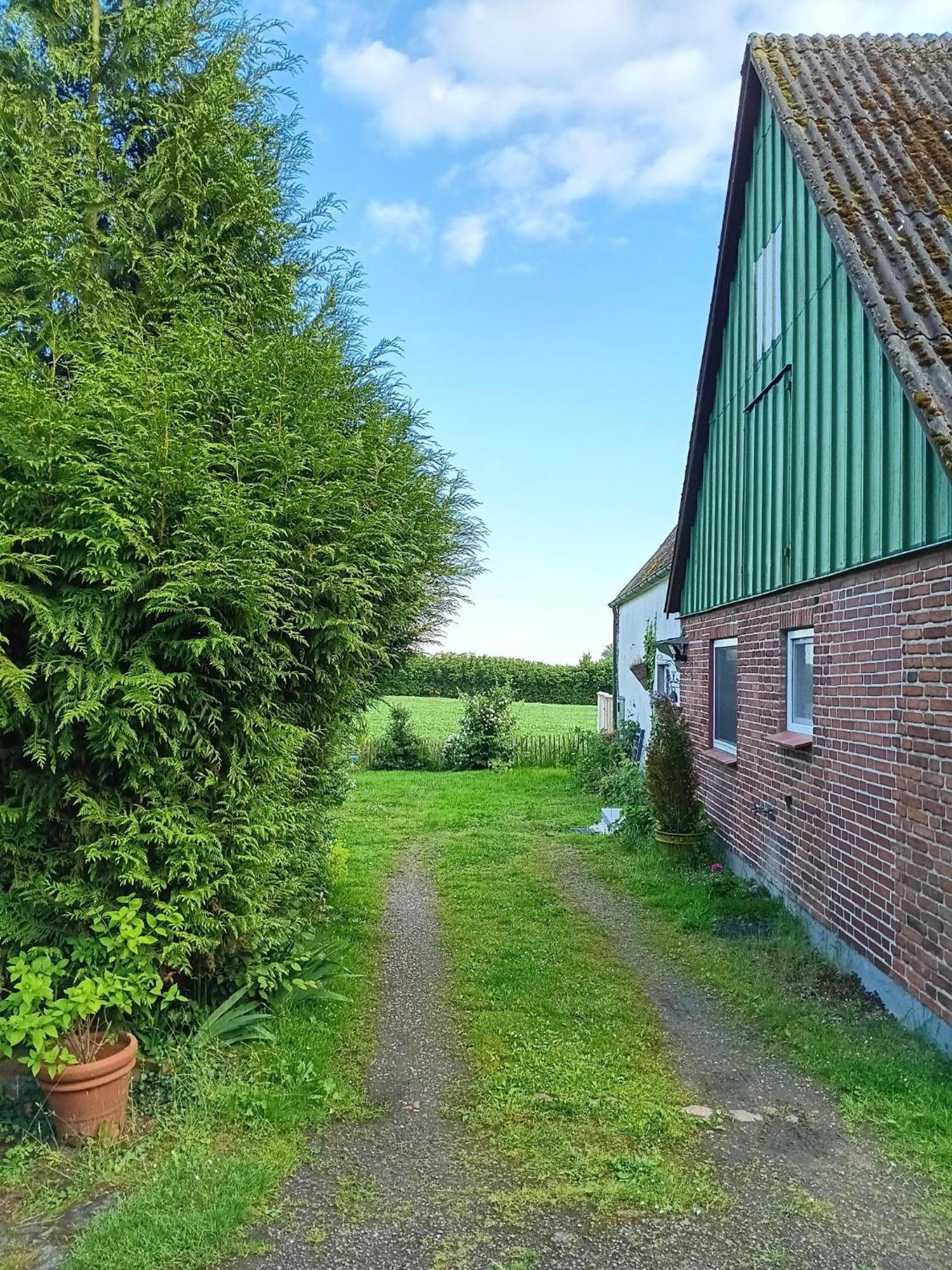 Ferienwohnung Brodersen Boren Exterior foto